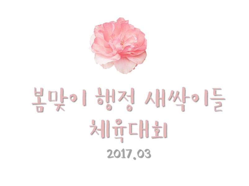체육대회